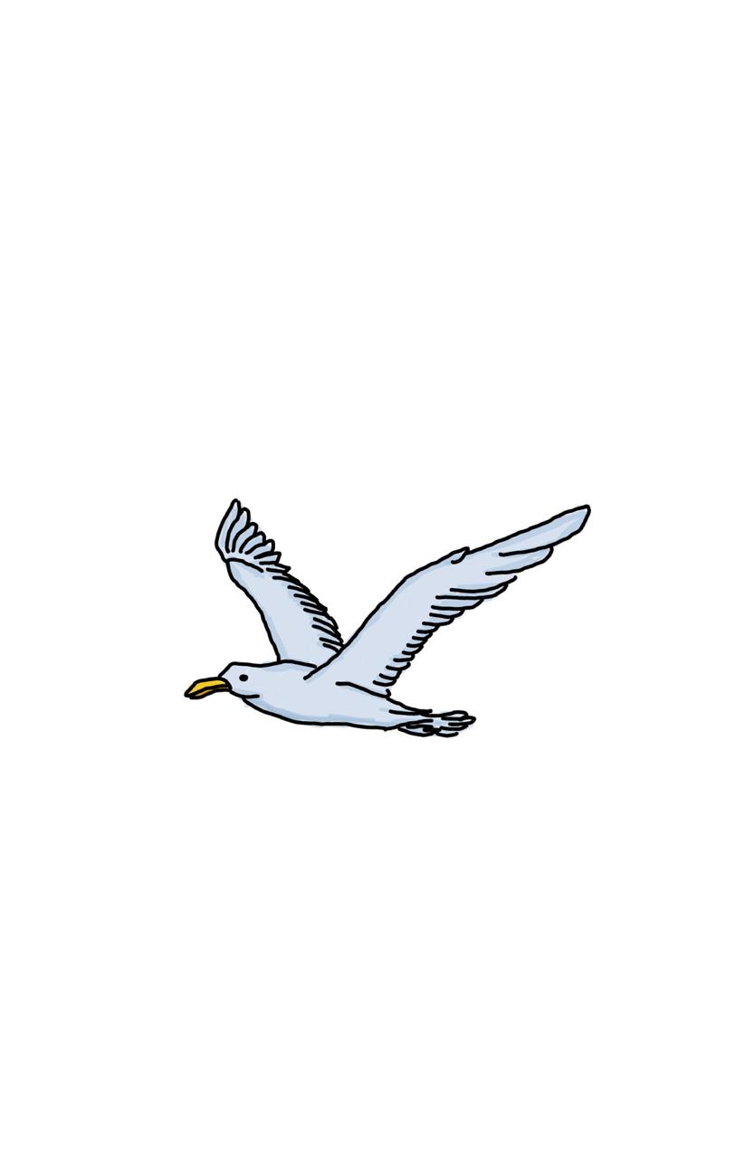 Blue Seagull Logo